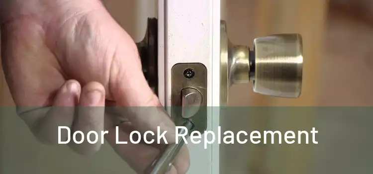  Door Lock Replacement 